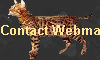 Contact Webmaster