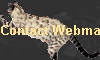 Contact Webmaster