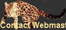 Contact Webmaster