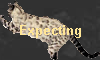 Expecting