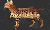 Available