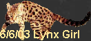 6/6/03 Lynx Girl