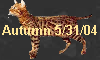 Autumn 5/31/04
