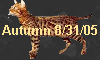 Autumn 8/31/05