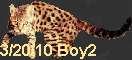 3/20/10 Boy2