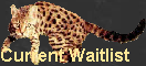 Current Waitlist